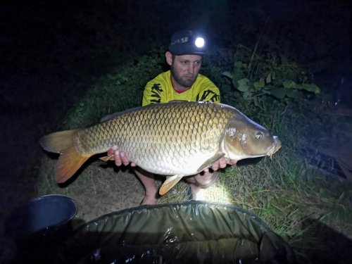 87cm, 14kg, krmná peleta coppens, pop up Pampeliška