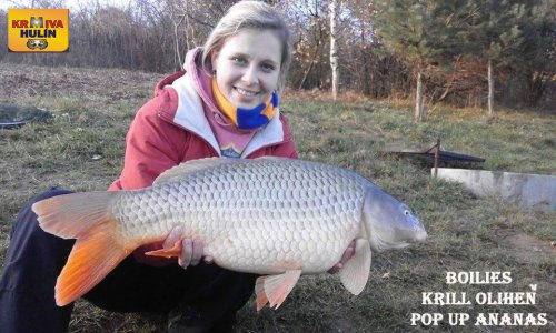 Boilies Krill/Oliheň, pop up Ananas