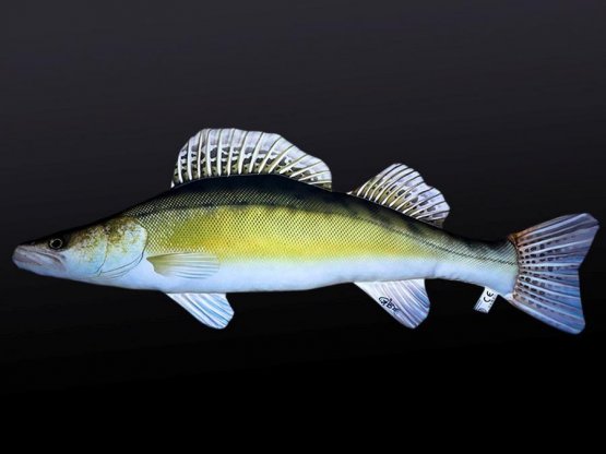 Plyšová ryba Gaby - CANDÁT OBECNÝ - 75 cm