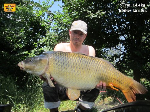 97cm, 14,4kg, boilies karibik