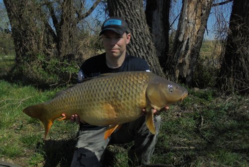 Boilies Pikantní jahoda