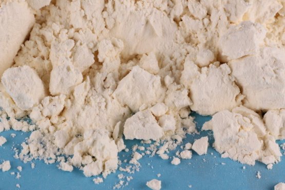 COLOSTRUM IgG40 - Sušené mlezivo bez Laktózy! - pro štěňata i psy - Vyberte balení: 500 g