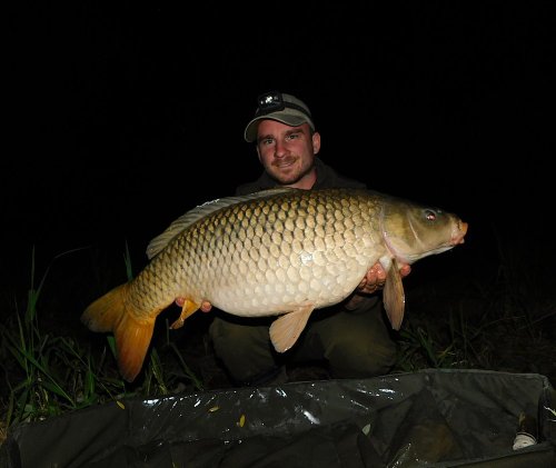 Boilies Pikantní perník