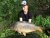 13,5kg, boilies Krill/Oliheň