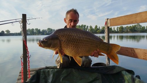 Boilies Pikantní perník