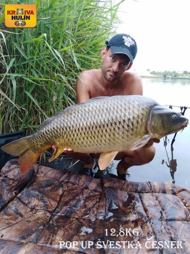 12,8kg, zig rig - švestka/česnek