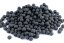 PAMLSEK PRO VELKÉ PSY - HMYZÍ PROTEIN s Aktivním Uhlím 16 mm - Vyberte balení: 5 kg