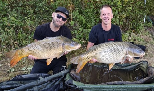 Boilies Pikantní perník