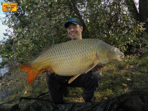 21kg