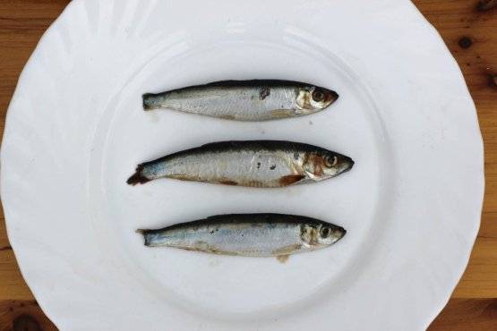 ŠPROTY BALTSKÉ CELÉ - Mražené ryby pro psy 10 cm - Vyberte balení: 500 g