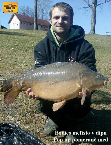 11kg, boilies mefisto v dipu, pop up pomeranč /med