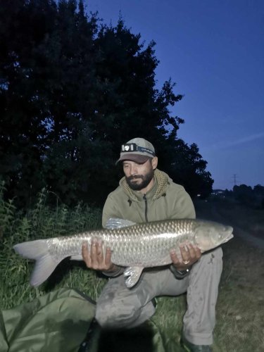 Boilies Pikantní jahoda