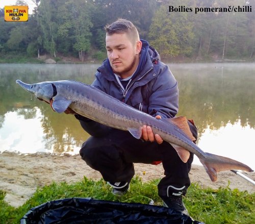 Boilies pomeranč/chilli