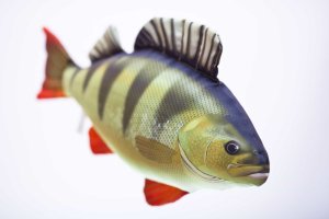 Plyšová ryba Gaby - OKOUN ŘÍČNÍ - 32 cm (Gaby, PRO50) | Krmiva Hulín