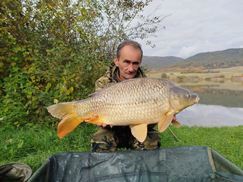 Boilies Švestka s česnekem