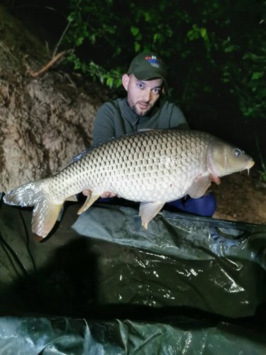 10kg, boilies Krill se švestkou