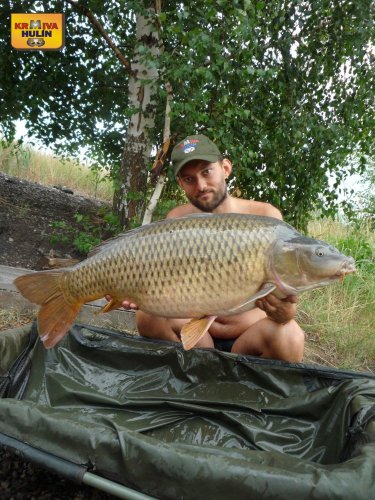 15,8kg, zig rig pop up ananas