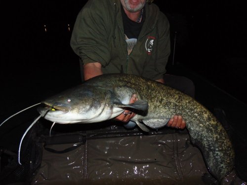 Boilies Pikantní krill