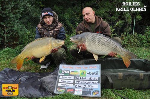Boilies Krill/Oliheň