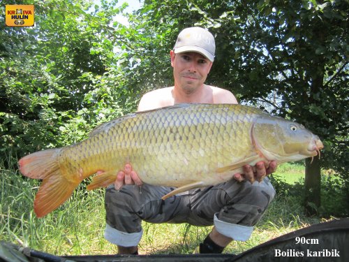 90cm, boilies karibik