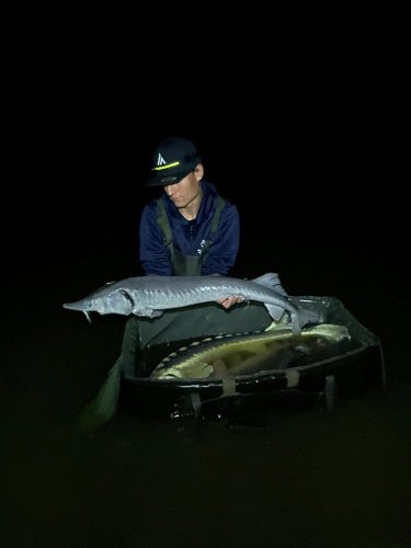 Peleta Black halibut krev + booster Calypso