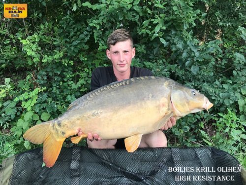 Boilies krill a oliheň high resistance, svazová voda