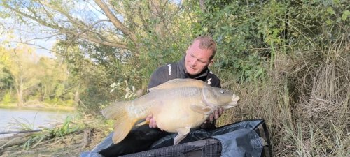 Boilies Calypso v dipu