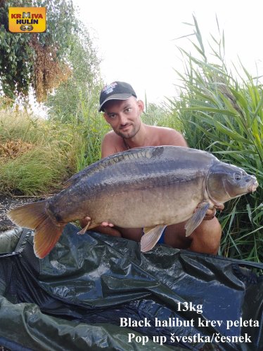 13kg, black halibut krev peleta, pop up švestka/česnek