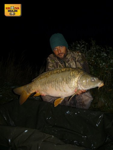 Boilies krill se švestkou