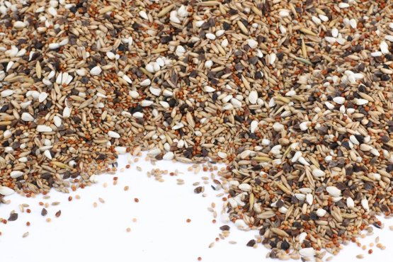 Krmivo Avest - PRO AGAPORNIS 12 - Vyberte balení: 500 g