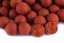 Boilies - PIKANTNÍ KRILL - Speciální edice - Ø 24 mm - Vyberte balení: 10 kg