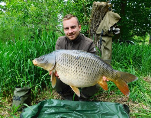 Boilies Pikantní jahoda
