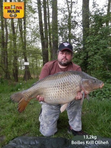 13,2kg, boilies Krill/Oliheň, svazová voda