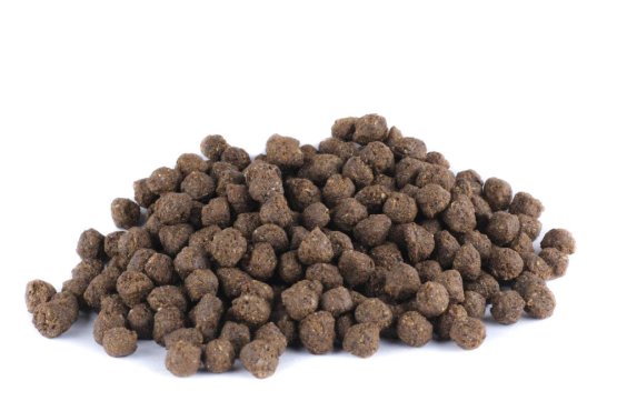 Krmivo pro psy - LOSOSOVÝ STEAK S KACHNOU A ŘASAMI - Vyberte balení: 500 g