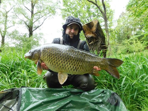 Boilies Pikantní jahoda