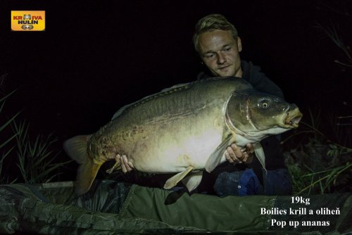 19kg, boilies krill/oliheň, pop up ananas, svazová voda