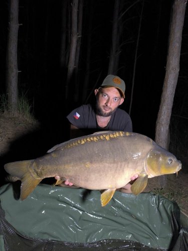 Boilies Pikantní perník