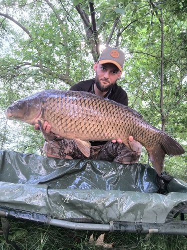11kg, boilies Pikantní perník