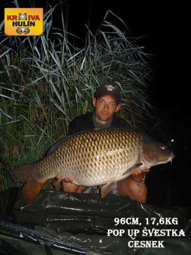 17,6kg, 96cm, pop up Švestka/Česnek