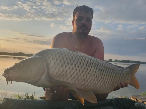 Boilies Frankfurtská klobása