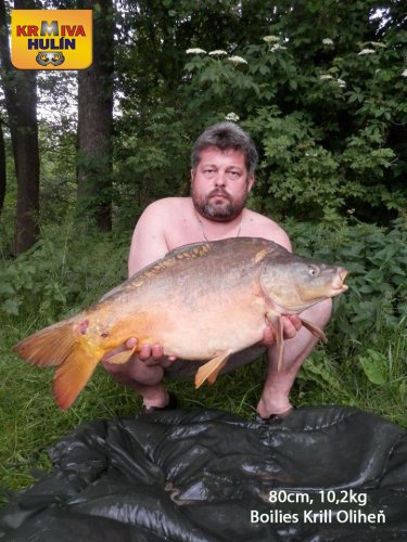 80cm, 10,2kg, boilies Krill/Oliheň, svazová voda