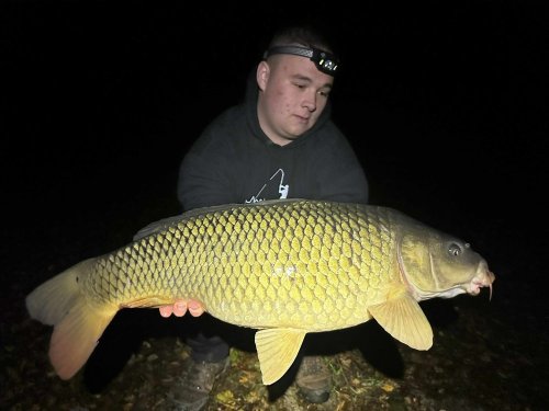 Boilies Pomeranč a chilli