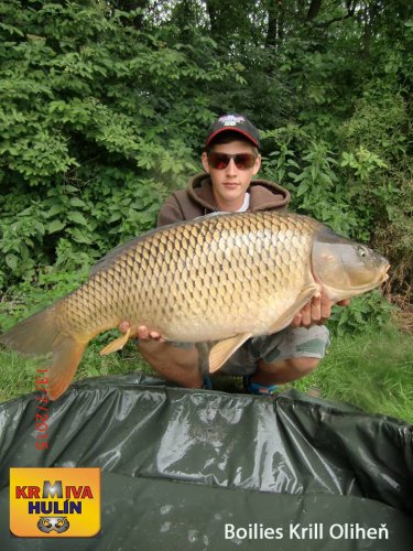 Boilies Krill/Oliheň, svazová voda