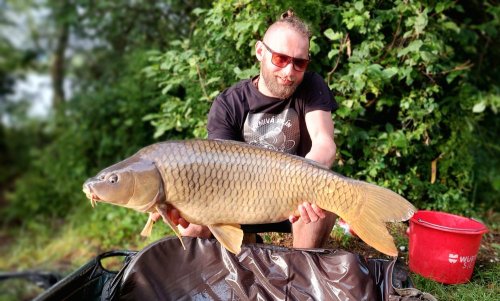 Boilies Duplex - Monster crab / Krill