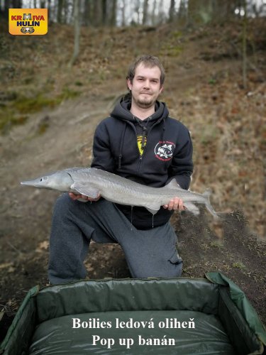 Boilies ledová oliheň, pop up banán/meruňka