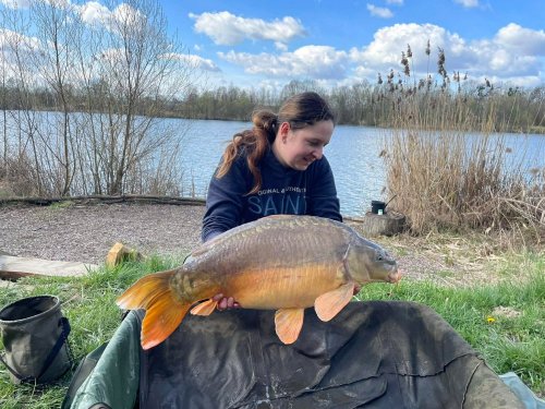 Boilies Pikantní krill
