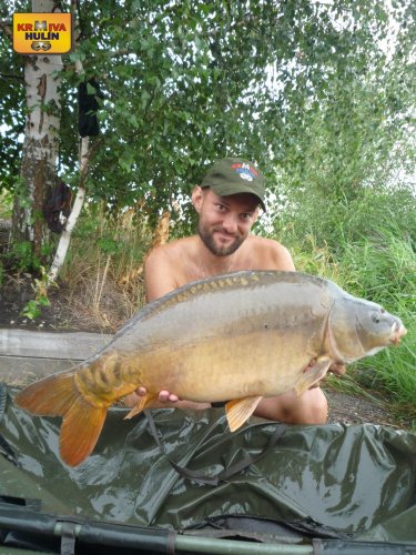 13kg+, zig rig pop up švestka/česnek