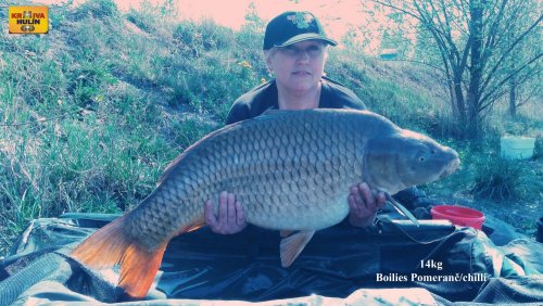 14kg, boilies pomeranč/chilli