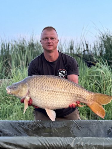 Boilies Pikantní perník