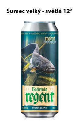 Pivo Regent - VLASTNÍ VÝBĚR 6 ks - Světlý ležák - Vodní Říše - 6x 0,5 l - Vyberte balení: KRABICE - MOTIV RYBY 1
